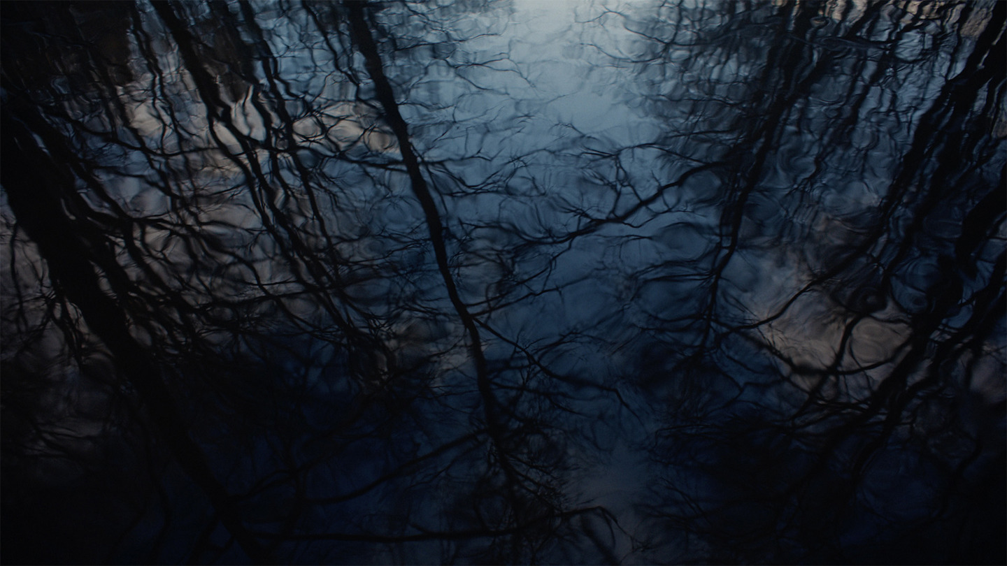 Speglning av träd och himmel i vatten, i gryning.