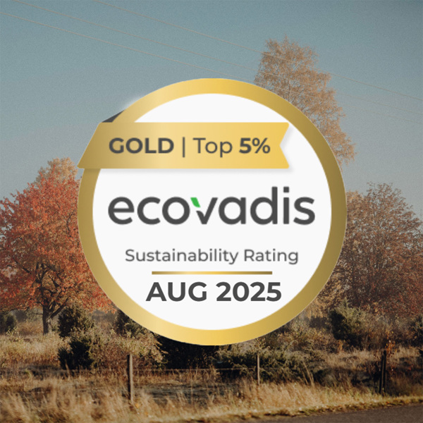 Utmärkelsen Ecovadis Sustainability Rating Gold 2025. Illustration.