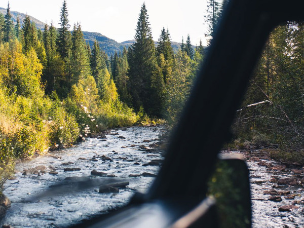 A creek seen from the inside of a car. 